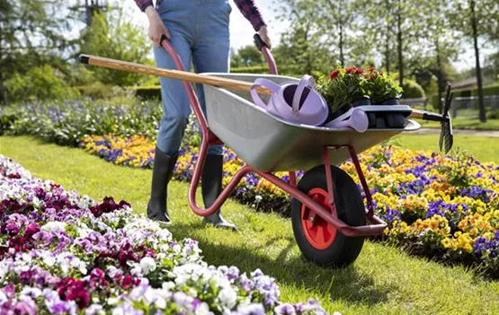 Frau bei der Gartenarbeit (GS619849.jpg)