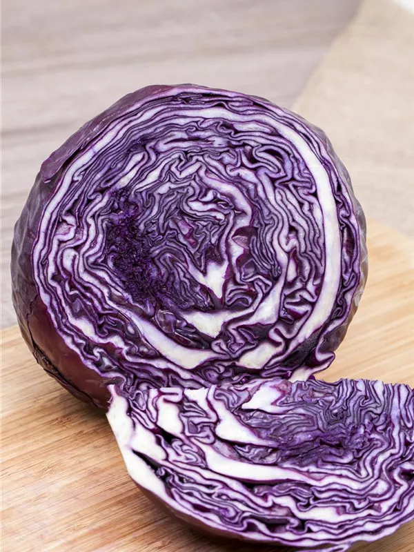 Rotkohl